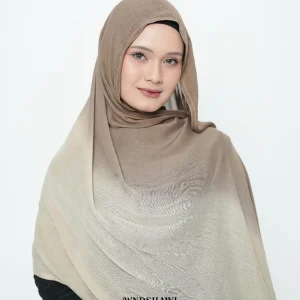 Gradient Bronze Viscose Pashmina - WND Shawl (1)